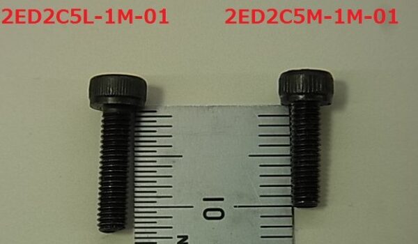 Ibanez Screw for FX Edge III 1st, 6th / FX Edge III-8 - 1st, 2nd, 7th, 8th saddle holding, black, L10 - (2ED2C5M)